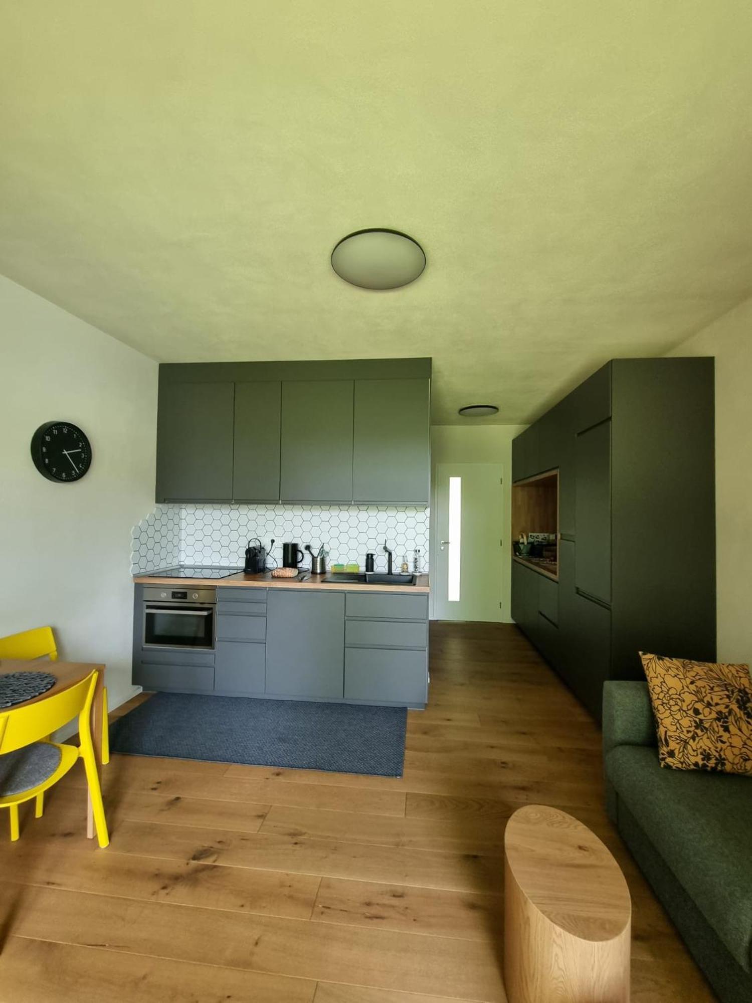 Apartman Berg Brcalnik Железна-Руда Экстерьер фото